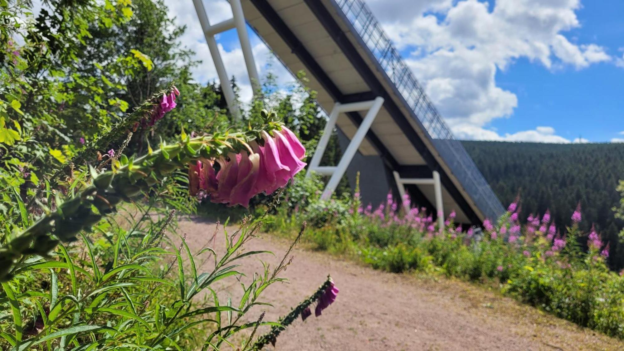 Wohlfühl-Ferienwohnung mit Tiefgarage im Grünen Oberhof  Exterior foto