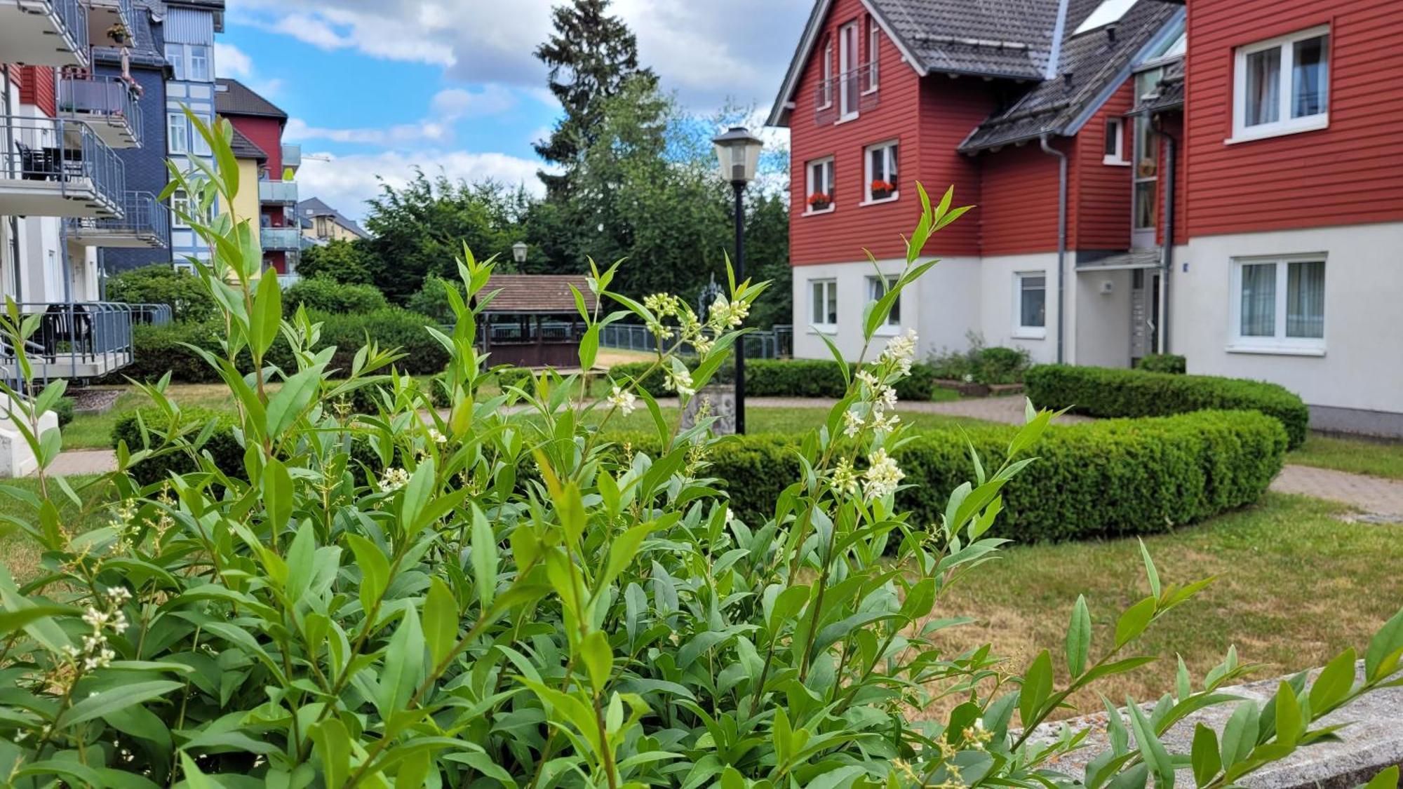 Wohlfühl-Ferienwohnung mit Tiefgarage im Grünen Oberhof  Exterior foto